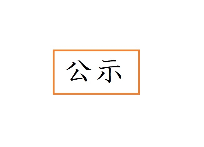 代議員選挙の投票について