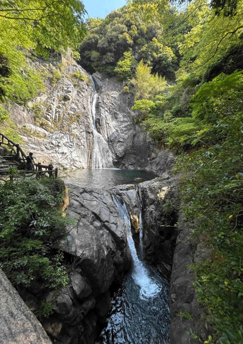 シスメックス歩こう会