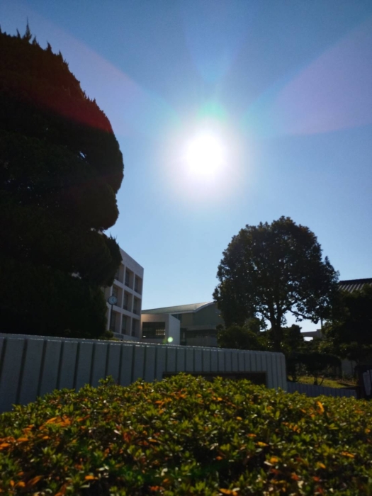 新年のご挨拶を申し上げます。