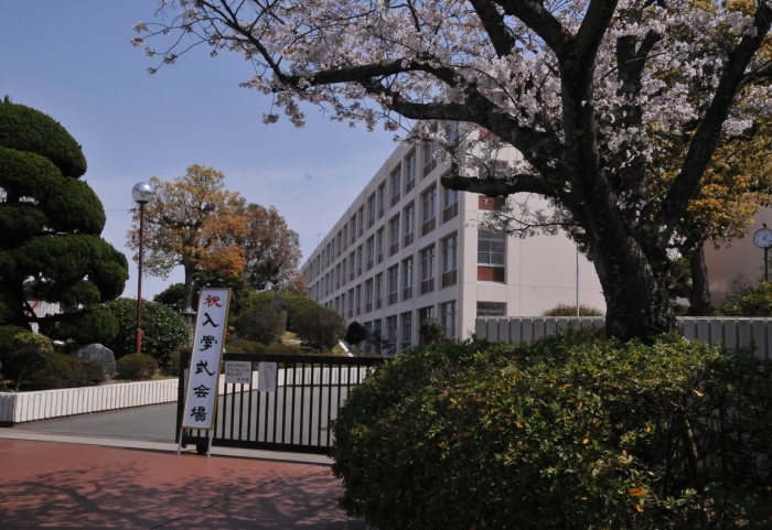 母校桜満開（もうすこしかな？）の中　４２回生入学式