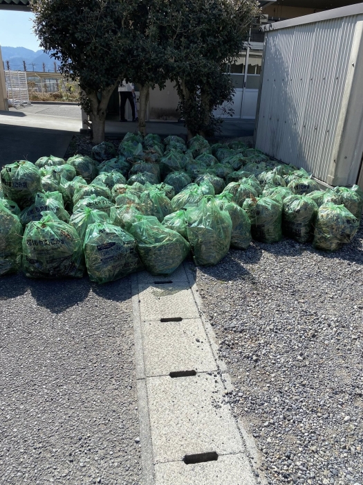 お知らせの画像