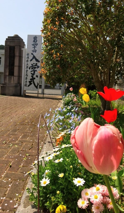 【早良高校　第４０回　入学式】新入生のみなさん🌸ご入学🌸おめでとうございます！