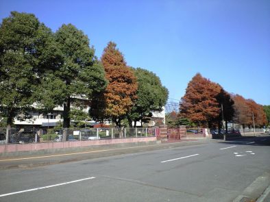 秋〜冬の正門