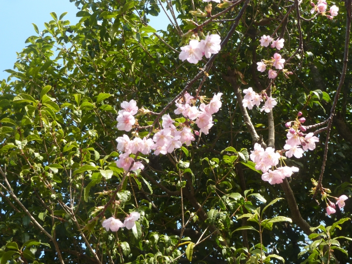 掲示板の画像