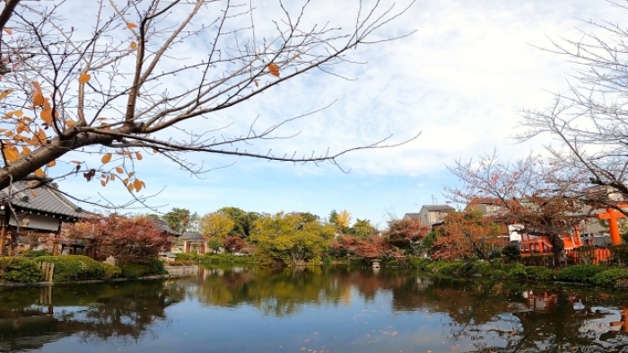 (sample)2015年卒の皆で集まろう！