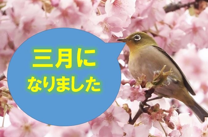 工科大の三月です