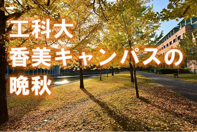 お知らせの画像