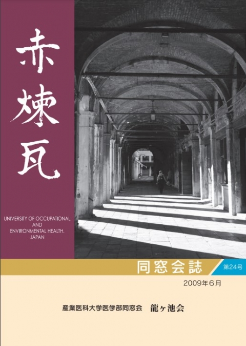 赤煉瓦24号