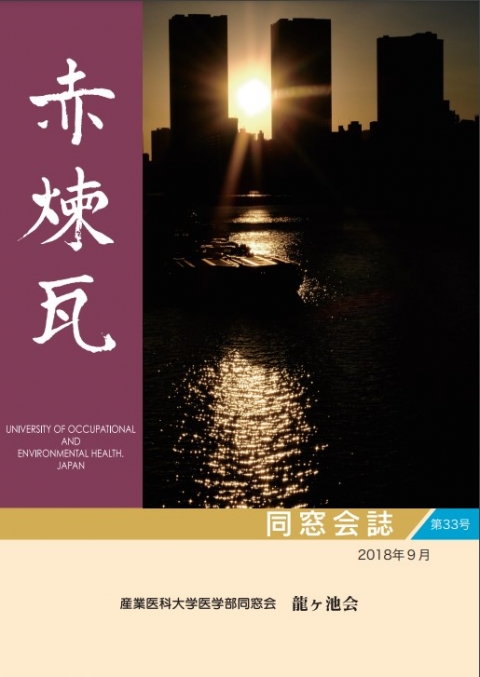 赤煉瓦33号