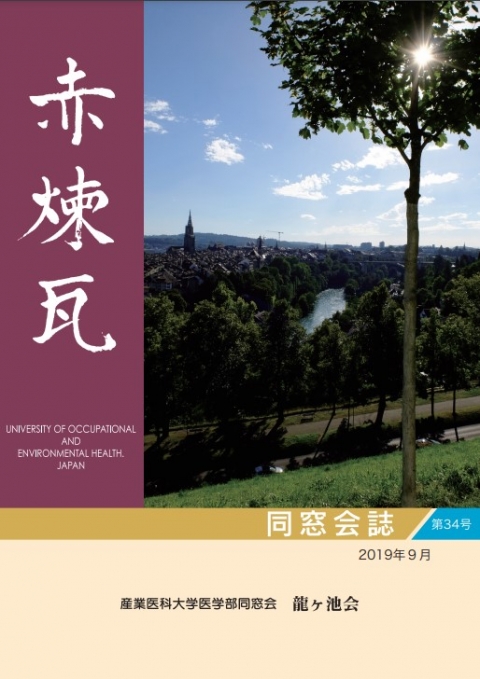 赤煉瓦34号