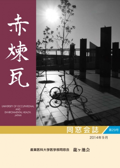 赤煉瓦29号