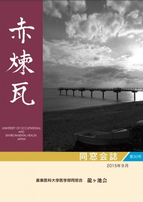 赤煉瓦30号